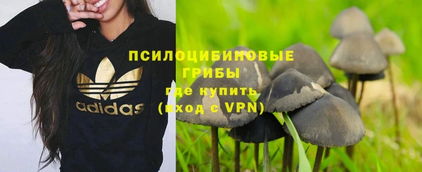 мдма Гусиноозёрск