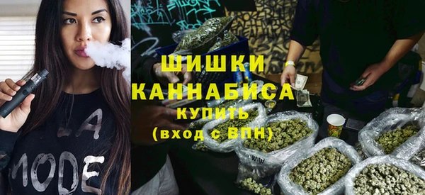 ГАЛЛЮЦИНОГЕННЫЕ ГРИБЫ Дмитриев