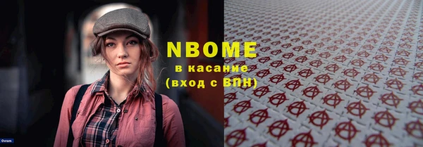 ГАЛЛЮЦИНОГЕННЫЕ ГРИБЫ Дмитриев