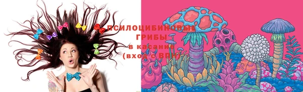 крисы Дмитровск