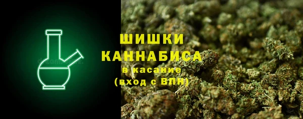 ГАЛЛЮЦИНОГЕННЫЕ ГРИБЫ Дмитриев