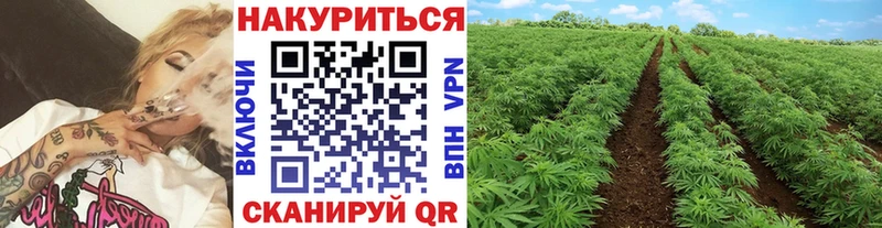 Канабис семена  Джанкой 